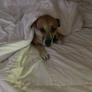 Meet your Posher, Vickey